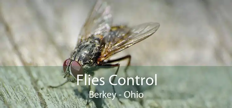 Flies Control Berkey - Ohio