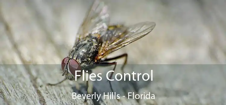 Flies Control Beverly Hills - Florida