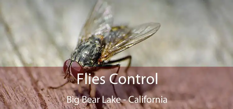 Flies Control Big Bear Lake - California