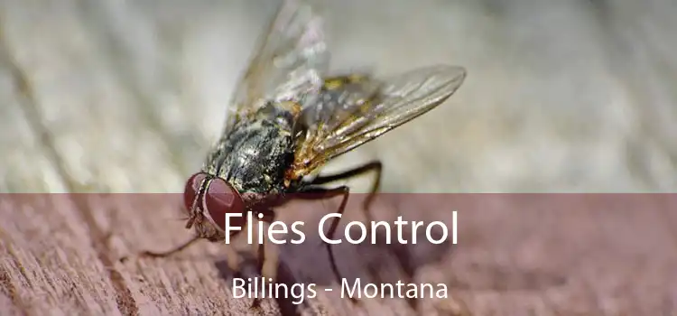 Flies Control Billings - Montana