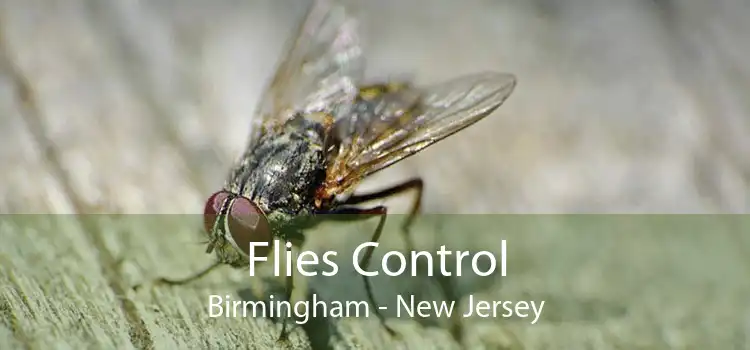 Flies Control Birmingham - New Jersey