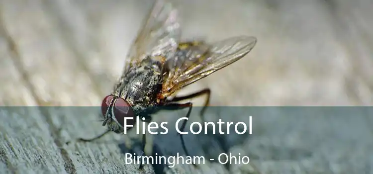 Flies Control Birmingham - Ohio