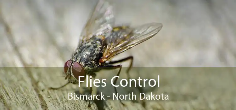 Flies Control Bismarck - North Dakota