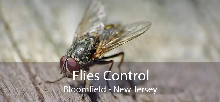 Flies Control Bloomfield - New Jersey