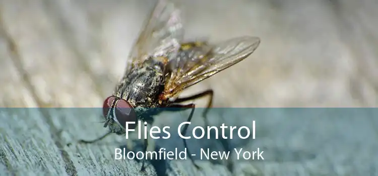 Flies Control Bloomfield - New York