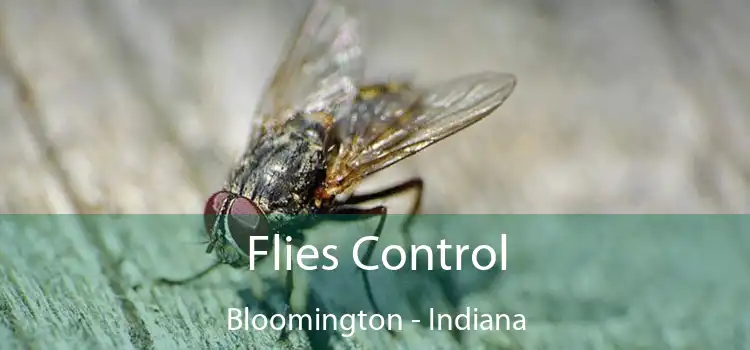 Flies Control Bloomington - Indiana