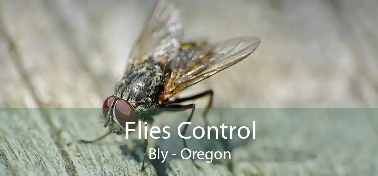 Flies Control Bly - Oregon
