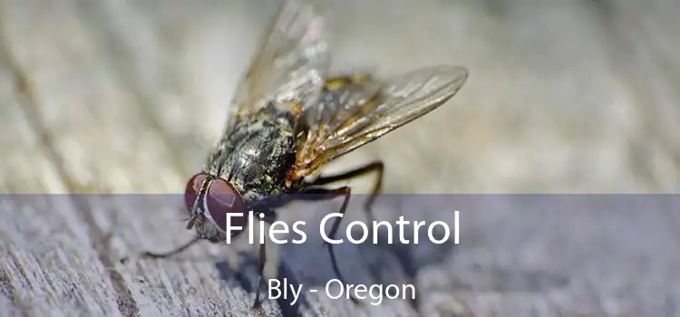Flies Control Bly - Oregon