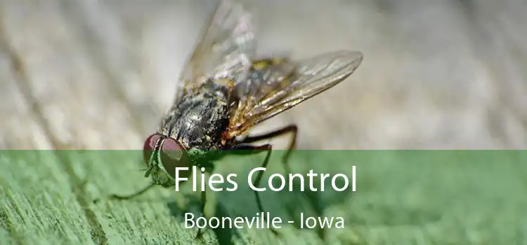 Flies Control Booneville - Iowa