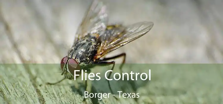 Flies Control Borger - Texas