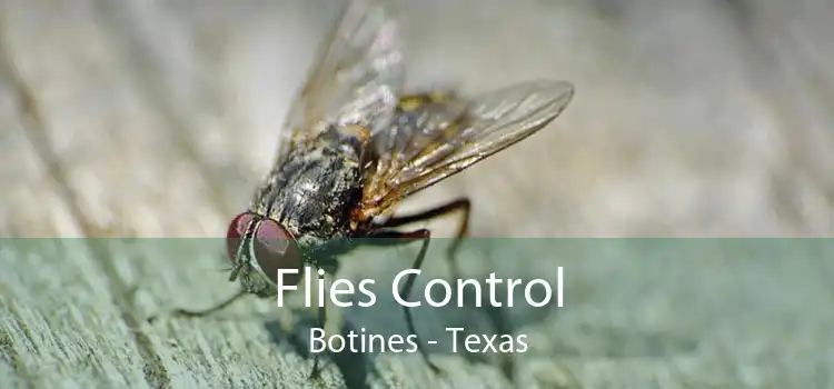 Flies Control Botines - Texas
