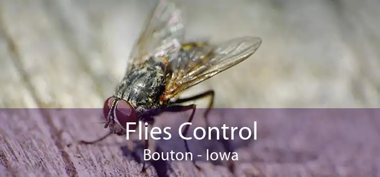 Flies Control Bouton - Iowa
