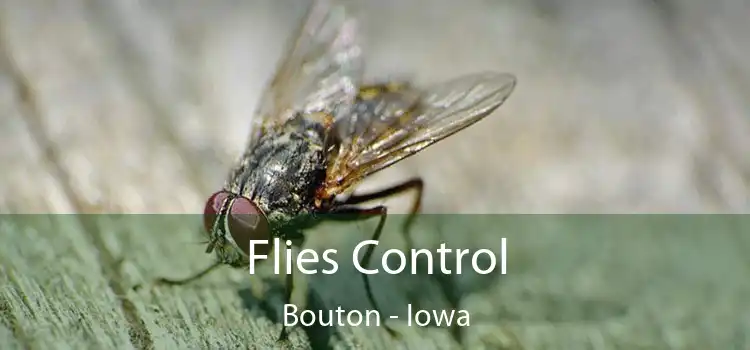 Flies Control Bouton - Iowa