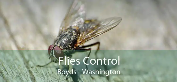 Flies Control Boyds - Washington