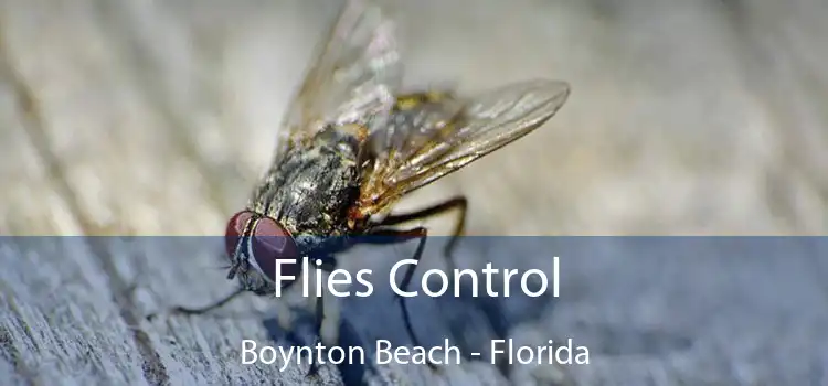 Flies Control Boynton Beach - Florida