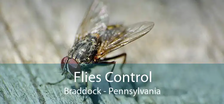 Flies Control Braddock - Pennsylvania