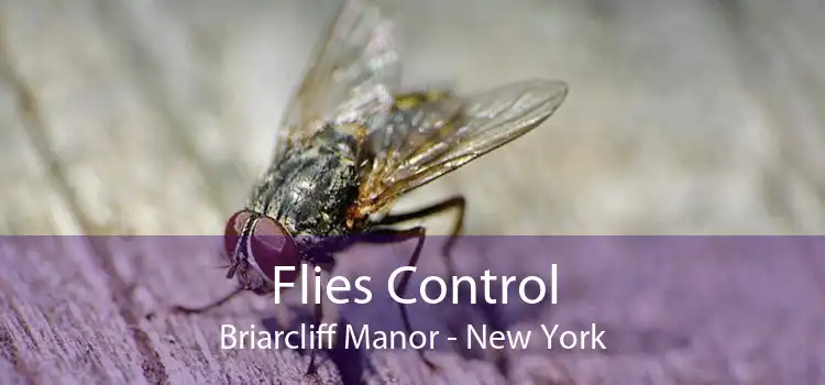 Flies Control Briarcliff Manor - New York