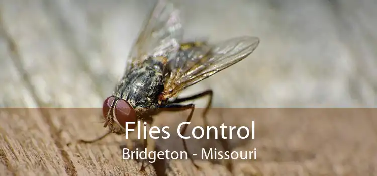 Flies Control Bridgeton - Missouri