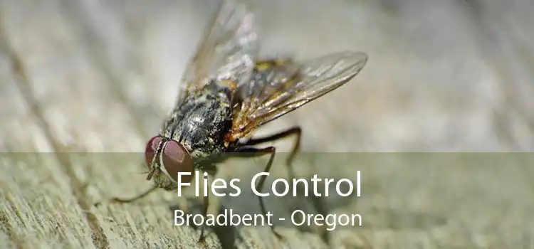 Flies Control Broadbent - Oregon