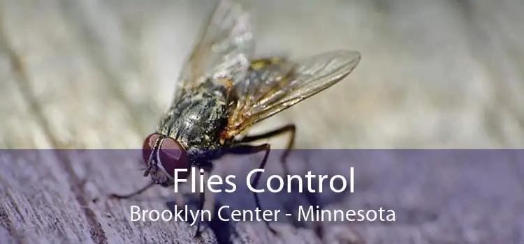 Flies Control Brooklyn Center - Minnesota
