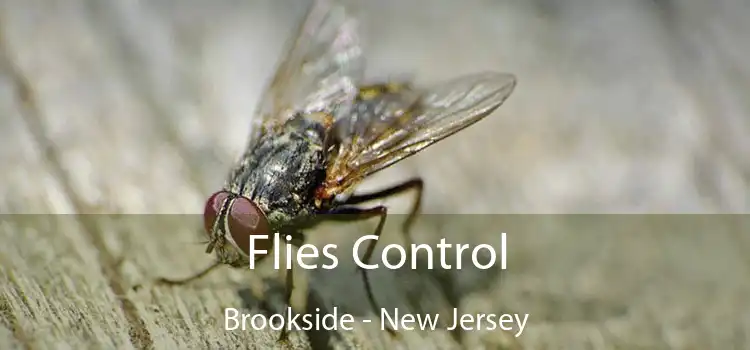 Flies Control Brookside - New Jersey