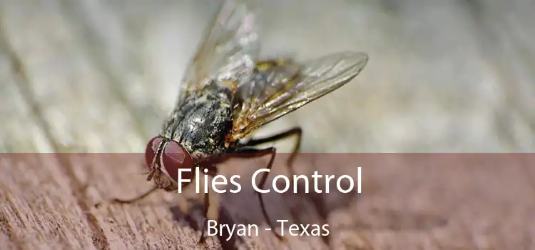 Flies Control Bryan - Texas