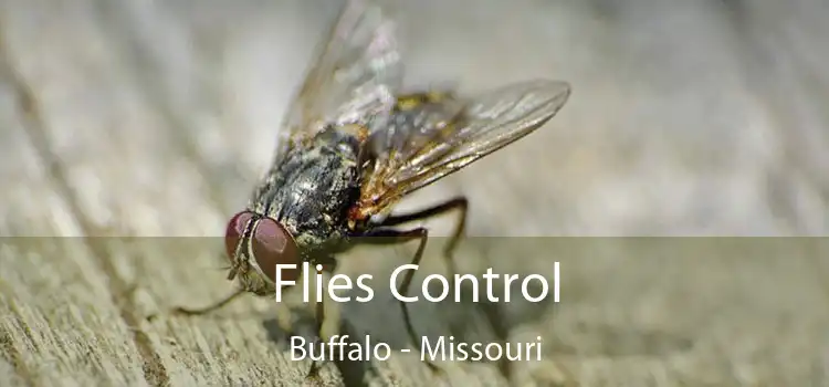 Flies Control Buffalo - Missouri