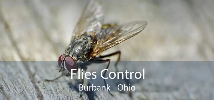 Flies Control Burbank - Ohio