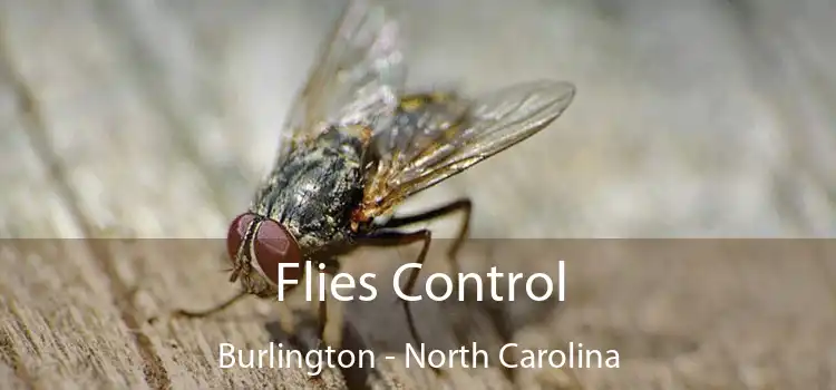 Flies Control Burlington - North Carolina