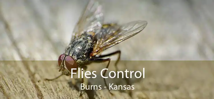 Flies Control Burns - Kansas