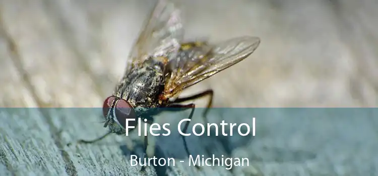 Flies Control Burton - Michigan