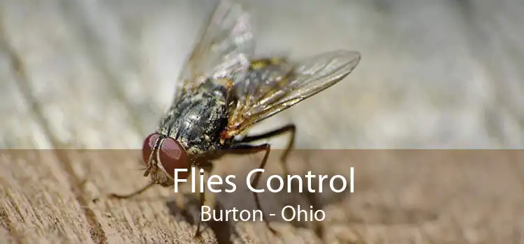 Flies Control Burton - Ohio