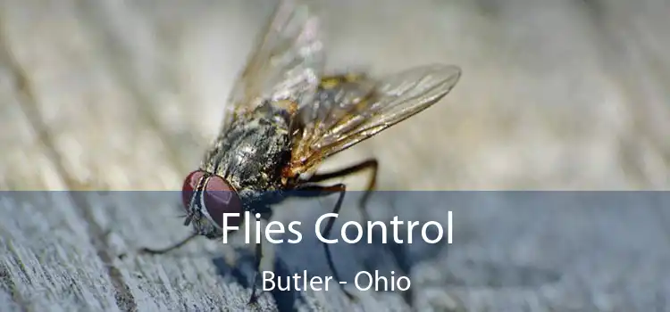 Flies Control Butler - Ohio