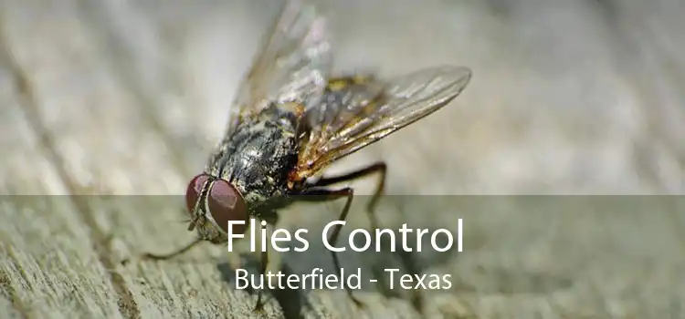 Flies Control Butterfield - Texas