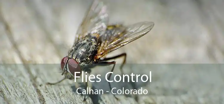 Flies Control Calhan - Colorado