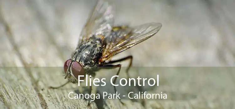 Flies Control Canoga Park - California