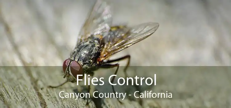 Flies Control Canyon Country - California