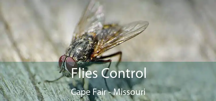 Flies Control Cape Fair - Missouri