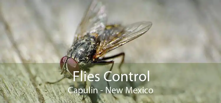 Flies Control Capulin - New Mexico
