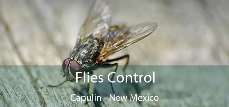 Flies Control Capulin - New Mexico