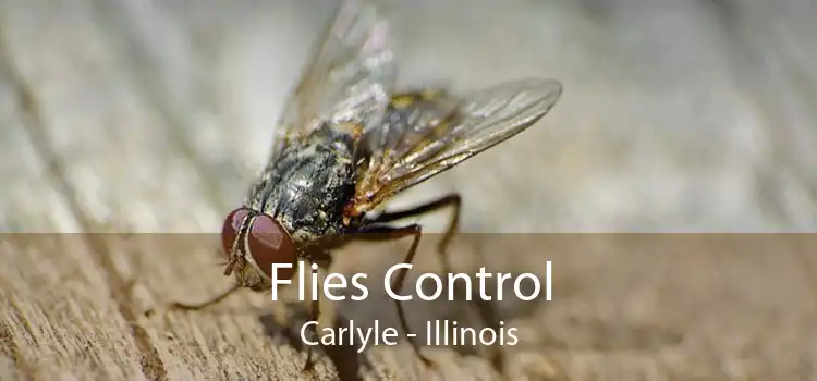 Flies Control Carlyle - Illinois