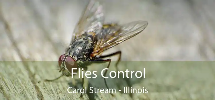 Flies Control Carol Stream - Illinois