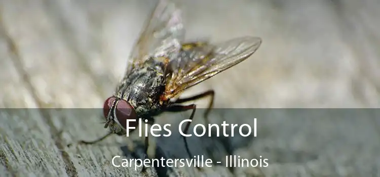 Flies Control Carpentersville - Illinois