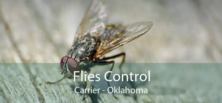 Flies Control Carrier - Oklahoma