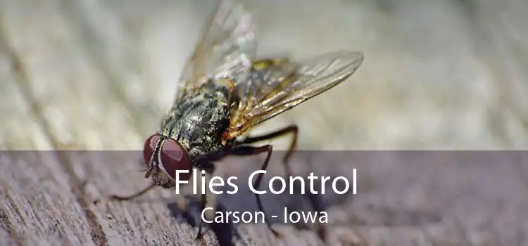 Flies Control Carson - Iowa