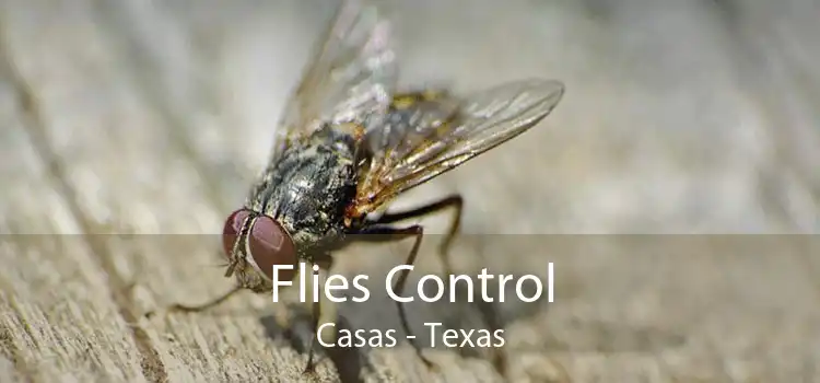 Flies Control Casas - Texas