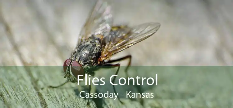 Flies Control Cassoday - Kansas