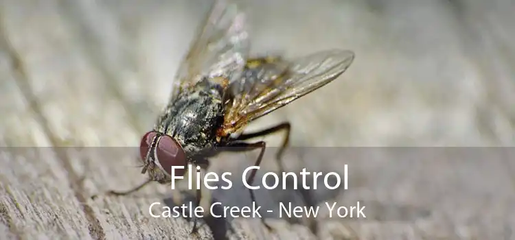 Flies Control Castle Creek - New York