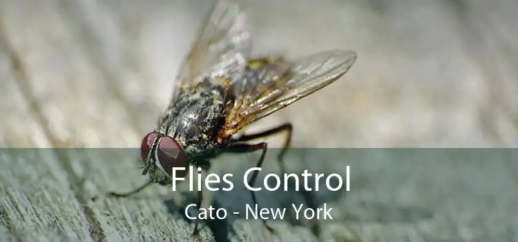 Flies Control Cato - New York