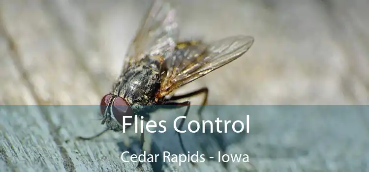 Flies Control Cedar Rapids - Iowa